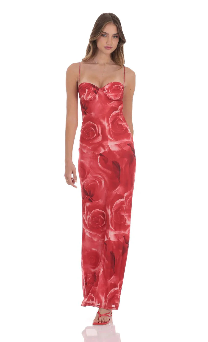 Rose Open Back Mesh Maxi Dress in Red